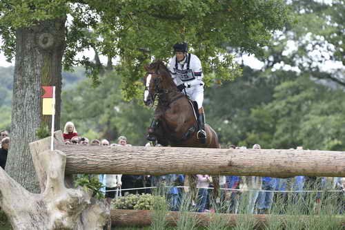 WEG1-Eventing-8-30-14-0008476-WilliamFox-Pitt-ChilliMorning-GBR-DDeRosaPhoto