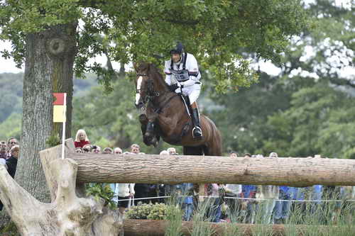 WEG1-Eventing-8-30-14-0008477-WilliamFox-Pitt-ChilliMorning-GBR-DDeRosaPhoto