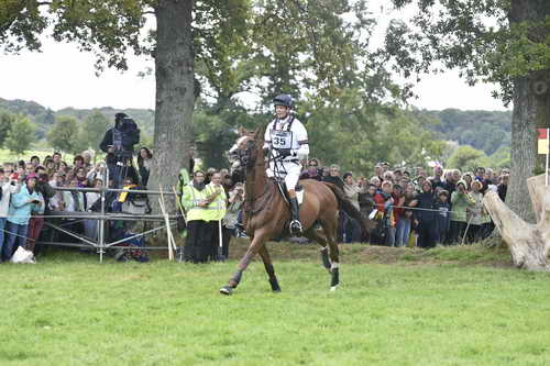 WEG1-Eventing-8-30-14-0008483-WilliamFox-Pitt-ChilliMorning-GBR-DDeRosaPhoto