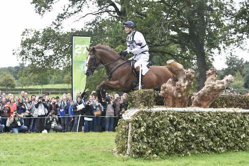 WEG1-Eventing-8-30-14-0008490-WilliamFox-Pitt-ChilliMorning-GBR-DDeRosaPhoto