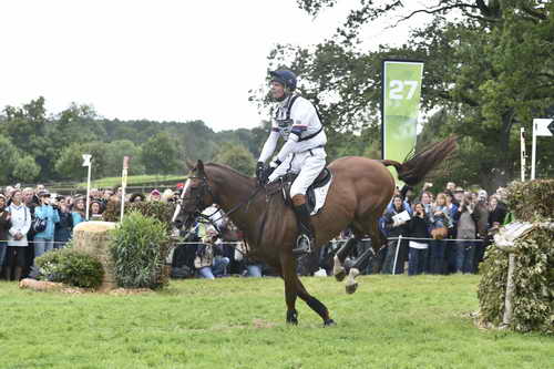 WEG1-Eventing-8-30-14-0008494-WilliamFox-Pitt-ChilliMorning-GBR-DDeRosaPhoto