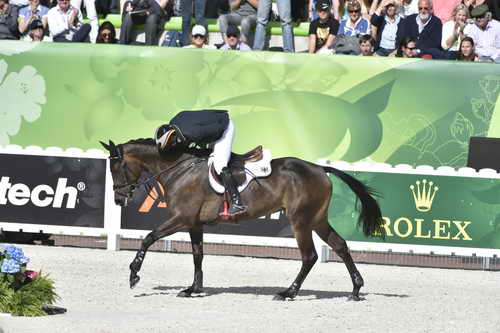 WEG-EventingSJ-8-31-14-0002853-MichaelJung-FischerrocanaFST-GER-DDeRosaPhoto