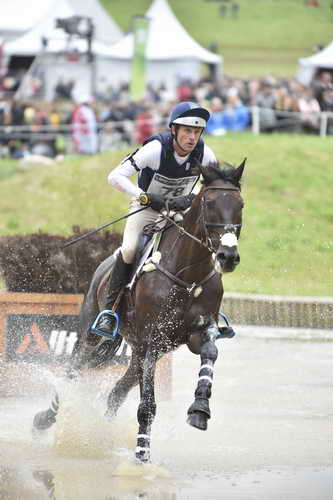 WEG1-Eventing-8-30-14-0009584-BoydMartin-Shamwari4-USA-DDeRosaPhoto