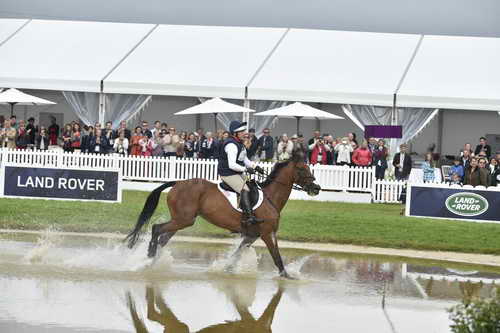WEG1-Eventing-8-30-14-0007009-BuckDavidsonJr-BallynoeCastleRM-USA-osaPhoto