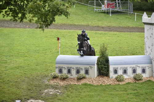 WEG1-Eventing-8-30-14-0008818-KimberlySeverson-FernhillFearless-USA-DDeRosaPhoto