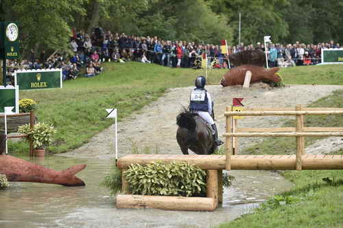 WEG1-Eventing-8-30-14-0009075-LynnSymansky-Donner-USA-DDeRosaPhoto