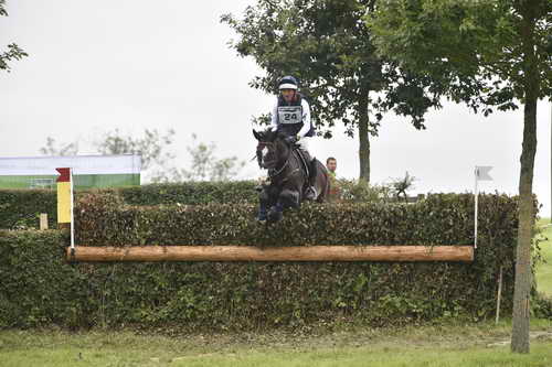 WEG1-Eventing-8-30-14-0008100-PhillipDutton-TradingAces-USA-DDeRosaPhoto