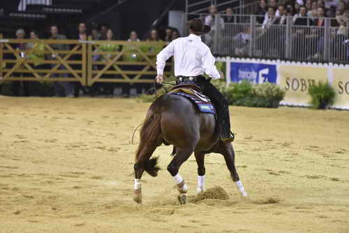WEG-Reining-8-30-14-0000827-AndreaFappani-CustomCashAdvance-USA-DDeRosaPhoto