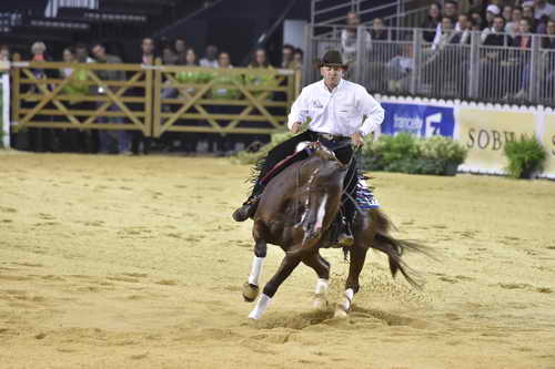 WEG-Reining-8-30-14-0000836-AndreaFappani-CustomCashAdvance-USA-DDeRosaPhoto