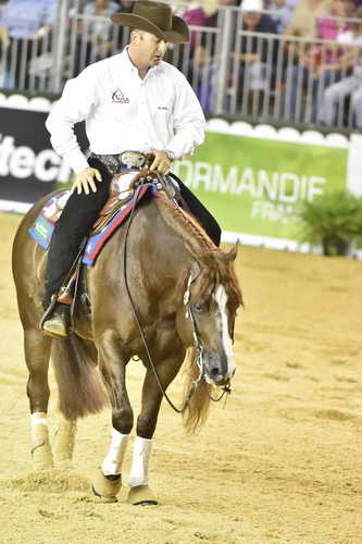 WEG-Reining-8-30-14-0000902-AndreaFappani-CustomCashAdvance-USA-DDeRosaPhoto