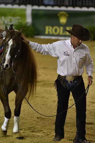 WEG-Reining-8-30-14-0000904-AndreaFappani-CustomCashAdvance-USA-DDeRosaPhoto