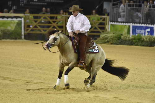 WEG-Reining-8-30-14-0000536-JordanLarson-HFMobster-USA-DDeRosaPhoto