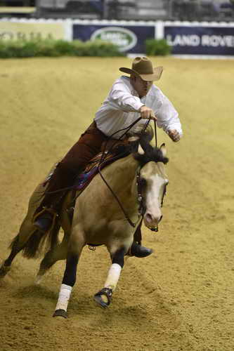 WEG-Reining-8-30-14-0000564-JordanLarson-HFMobster-USA-DDeRosaPhoto