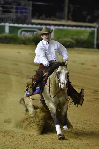 WEG-Reining-8-30-14-0000571-JordanLarson-HFMobster-USA-DDeRosaPhoto