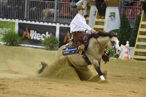 WEG-Reining-8-30-14-0000577-JordanLarson-HFMobster-USA-DDeRosaPhoto