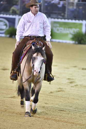 WEG-Reining-8-30-14-0000586-JordanLarson-HFMobster-USA-DDeRosaPhoto