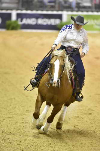 WEG-Reining-8-30-14-0000687-MandyMcCutcheon-YellowJersey-USA-DDeRosaPhoto