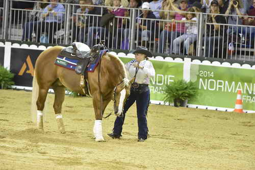 WEG-Reining-8-30-14-0000729-MandyMcCutcheon-YellowJersey-USA-DDeRosaPhoto