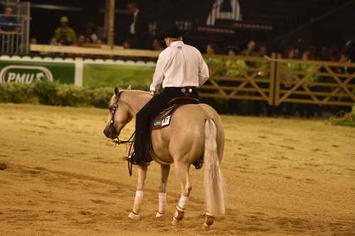 WEG-Reining-8-30-14-0000447-TomMcCutcheon-DunGetANicadual-USA-DDeRosaPhoto