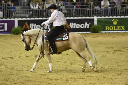 WEG-Reining-8-30-14-0000465-TomMcCutcheon-DunGetANicadual-USA-DDeRosaPhoto