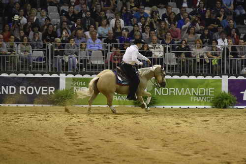 WEG-Reining-8-30-14-0000467-TomMcCutcheon-DunGetANicadual-USA-DDeRosaPhoto