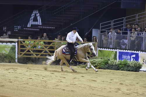 WEG-Reining-8-30-14-0000470-TomMcCutcheon-DunGetANicadual-USA-DDeRosaPhoto