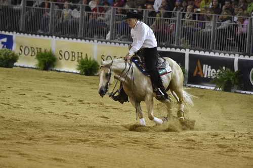 WEG-Reining-8-30-14-0000475-TomMcCutcheon-DunGetANicadual-USA-DDeRosaPhoto