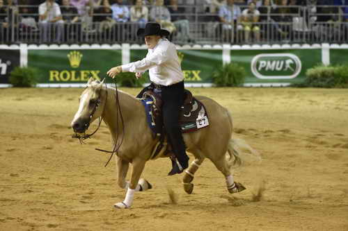 WEG-Reining-8-30-14-0000484-TomMcCutcheon-DunGetANicadual-USA-DDeRosaPhoto