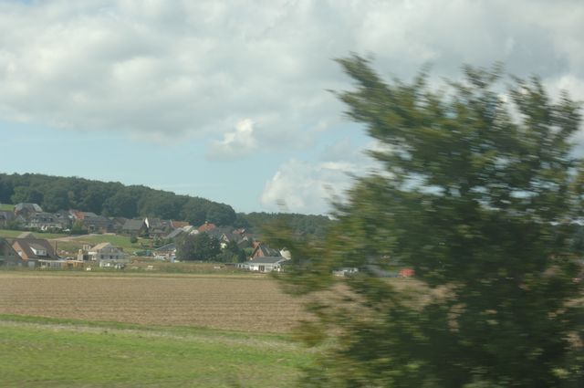 022-WEG-8-18-19-06-&copy;DDeRosaPhoto.jpg