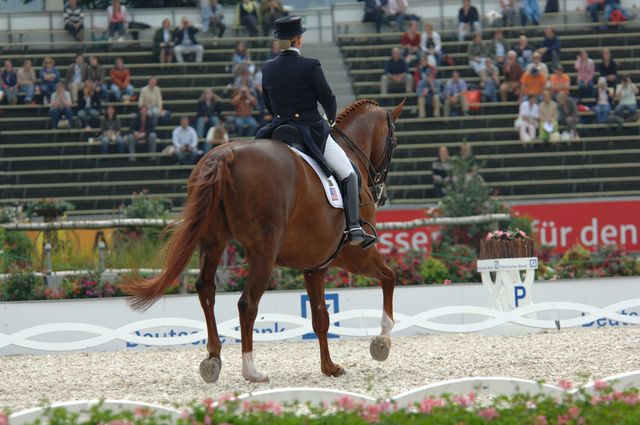 1022-WEG-8-23-06-_DeRosaPhoto.JPG