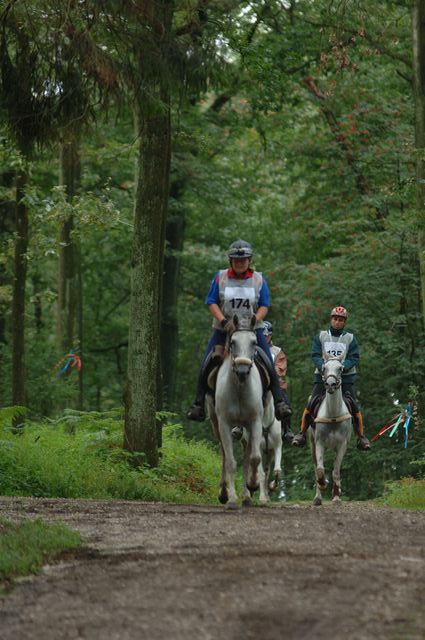268-WEG-8-21-06-_DDeRosaPhoto.JPG