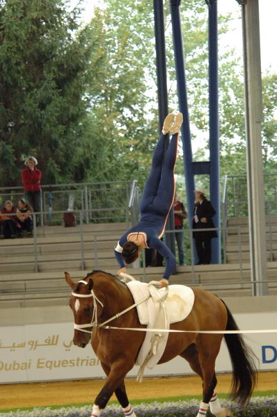 109-WEG-Vaulting-8-24-06-&copy;DeRosaPhoto.jpg
