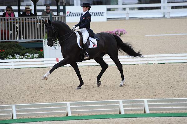 WEG-DRTst-4-20-10-0260-LuckyTiger-PierreStJacques-DDeRosaPhoto.jpg