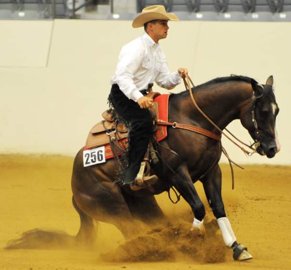WEG-7-21-09-0036-ReiningTest-AaronRalston-DoubleMyWhiskey-USA-DDeRosaPhoto.jpg