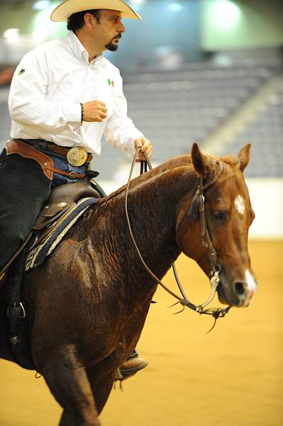WEG-7-21-09-0065-ReiningTest-AlbertoHawa-GrabYourGuns-MEX-DDeRosaPhoto.jpg
