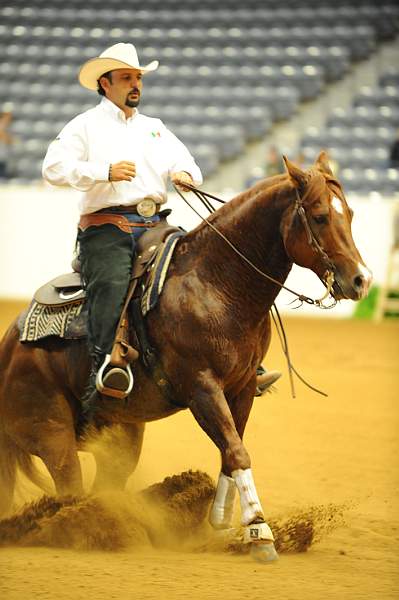 WEG-7-21-09-0086-ReiningTest-AlbertoHawa-GrabYourGuns-MEX-DDeRosaPhoto.jpg