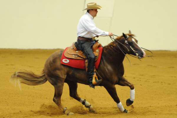 WEG-7-21-09-0100-ReiningTest-DaveYoung-AngelsMark-CAN-DDeRosaPhoto.jpg