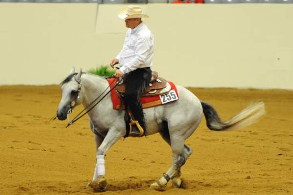 WEG-7-21-09-0133-ReiningTest-DellHendricks-StarbucksSidekick-DDeRosaPhoto.jpg