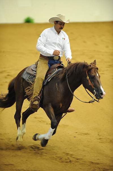 WEG-7-21-09-0220-ReiningTest-JorgeRamirez-JalapenoPeppy-MEX-DDeRosaPhoto.jpg