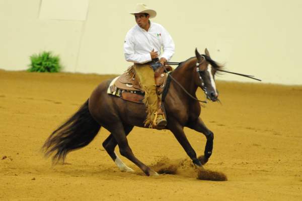 WEG-7-21-09-0394-ReiningTest-RubenPacheco-FootworksSpecial-MEX-DDeRosaPhoto.jpg