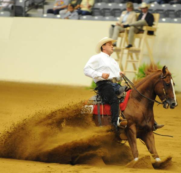 WEG-7-21-09-0476-ReiningTest-JasonGrimshaw-ChicsSonata-CAN-DDeRosaPhoto.jpg