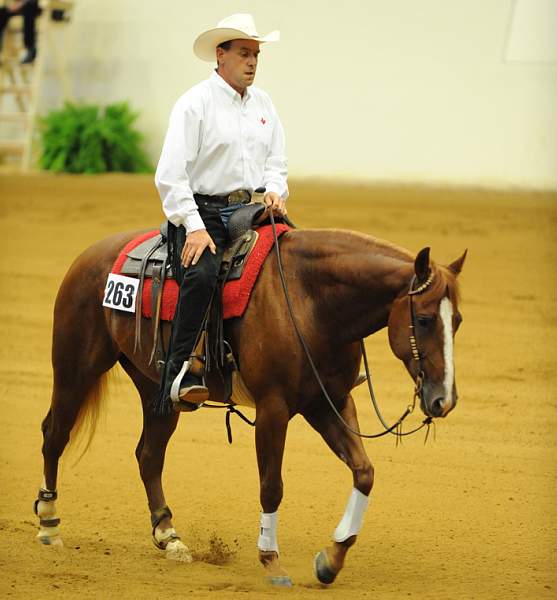 WEG-7-21-09-0499-ReiningTest-JasonGrimshaw-ChicsSonata-CAN-DDeRosaPhoto.jpg
