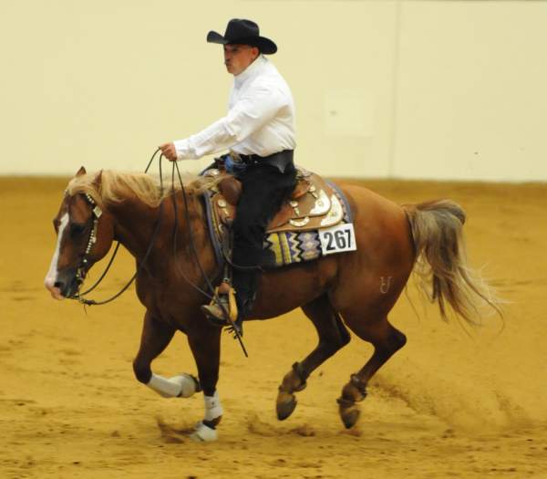 WEG-7-21-09-0594-ReiningTest-JoseVazquez-JuicedUpDoc-MEX-DDeRosaPhoto.jpg