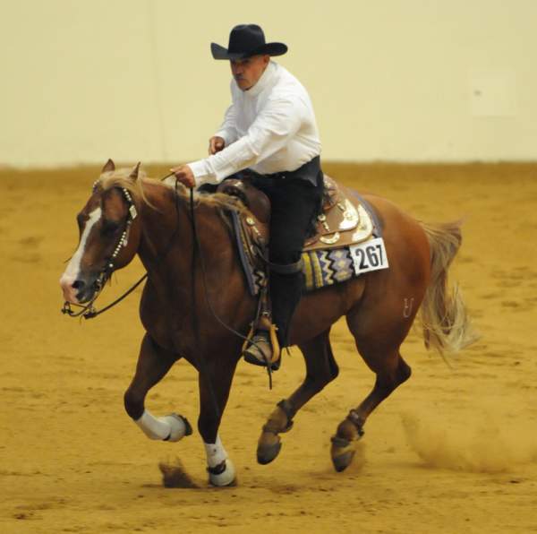 WEG-7-21-09-0596-ReiningTest-JoseVazquez-JuicedUpDoc-MEX-DDeRosaPhoto.jpg