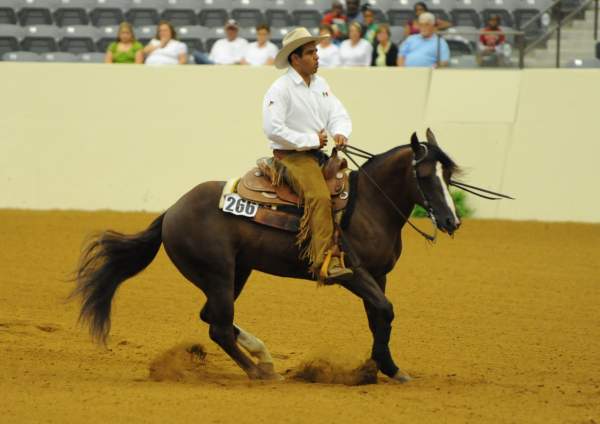 WEG-7-23-09-0849-ReiningTest-RubenPacheco-FootworksSpecial-MEX-DDeRosaPhoto.jpg