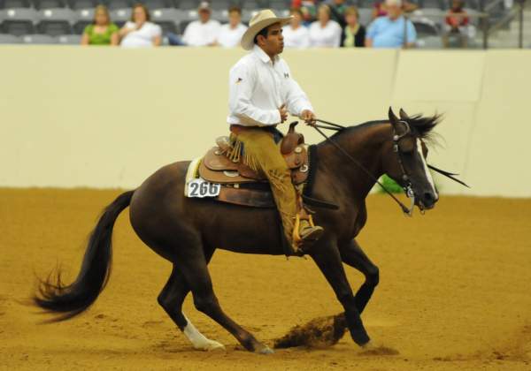 WEG-7-23-09-0852-ReiningTest-RubenPacheco-FootworksSpecial-MEX-DDeRosaPhoto.jpg