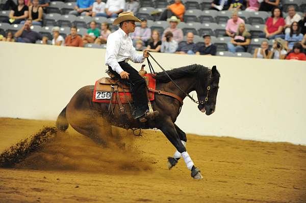 WEG-7-23-09-1001-ReiningTest-AaronRalston-DoubleMyWhiskey-USA-DDeRosaPhoto.jpg