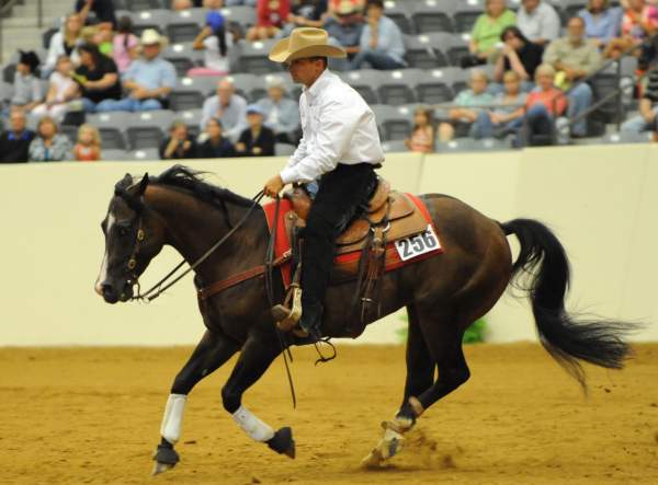 WEG-7-23-09-1019-ReiningTest-AaronRalston-DoubleMyWhiskey-USA-DDeRosaPhoto.jpg