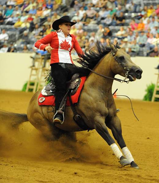 WEG-7-23-09-1116-ReiningTest-LisaCoulter-HollywoodAces-CAN-DDeRosaPhoto.jpg