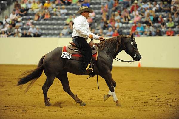 WEG-7-23-09-1261-ReiningTest-ShawnFlarida-SmartSpook-USA-DDeRosaPhoto.jpg